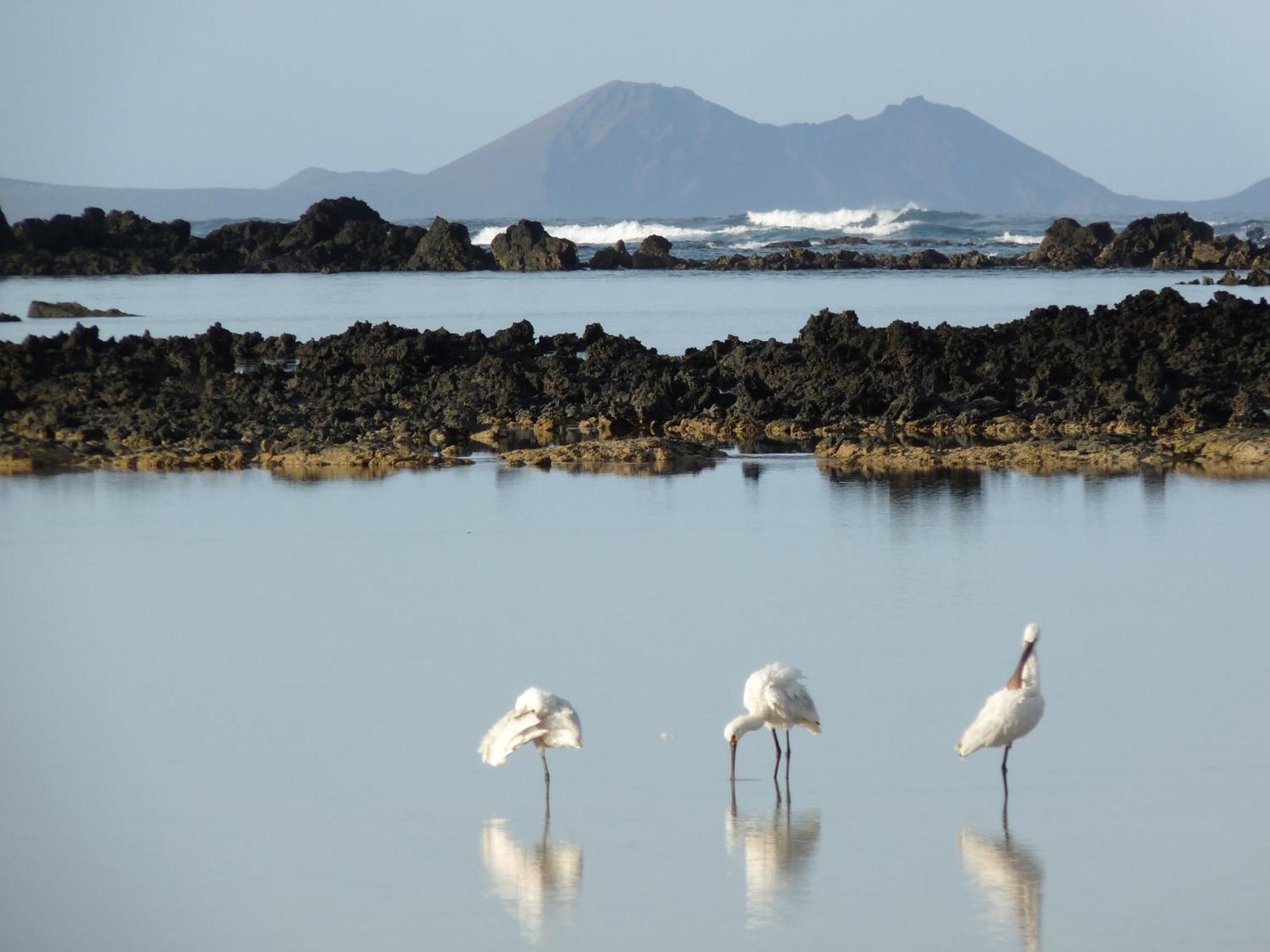 Casa Ana Y El Mar - Para Enamorados Del Mar - Lanzarote Teguise  Ngoại thất bức ảnh